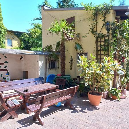 Wittenberg Pension Zur Elbe מראה חיצוני תמונה
